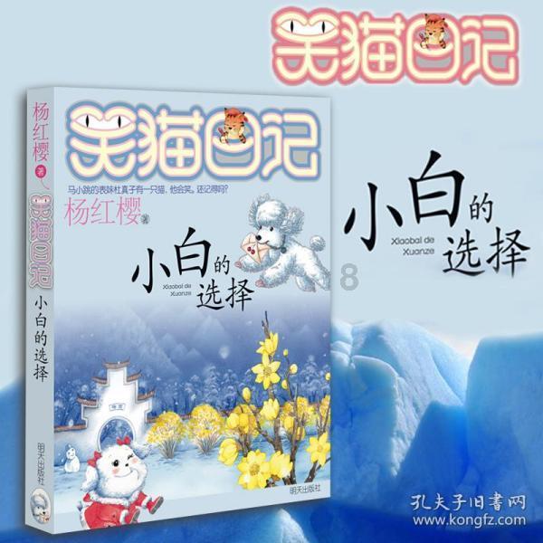 狐狸的旅程