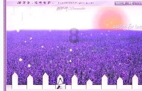 摩娜时尚博客
