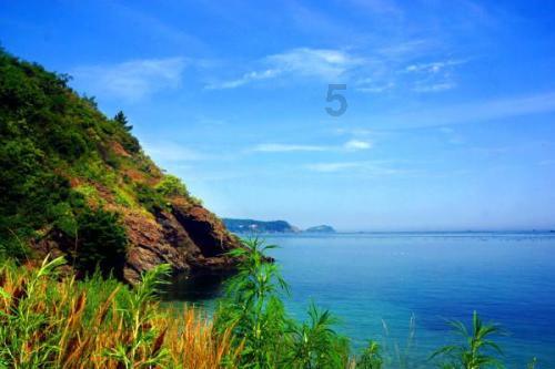 海底世界填颜色4