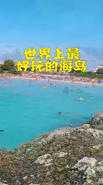 破碎的动物图形