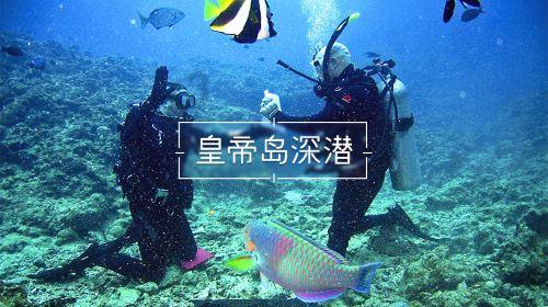 拯救枯树
