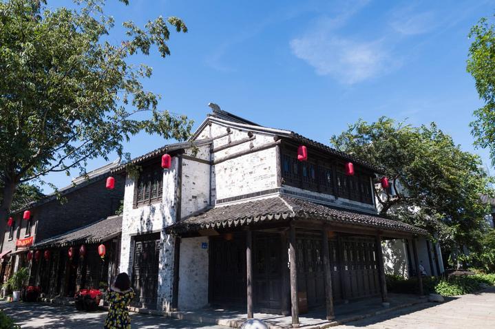 阿姨带着宠物狗上公交车，特意付了两个人的钱，包容的城市和司机