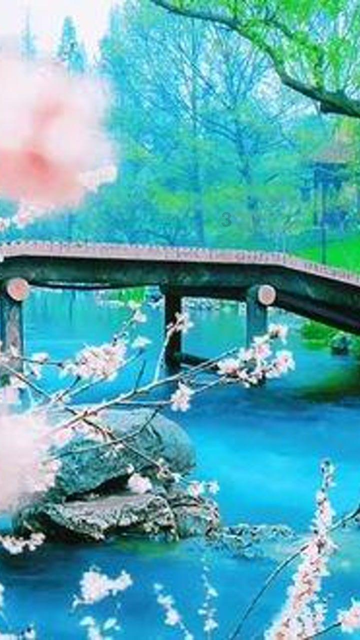 曲棍球教练逃生